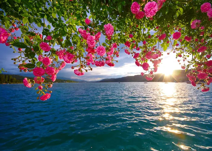 Parkhotel Poertschach - Hotelresort Mit Insellage Am Woerthersee Отель Пёрчах-ам-Вёртерзе